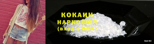 шишки Заводоуковск