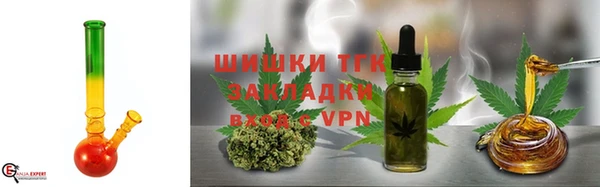 шишки Заводоуковск
