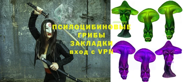 шишки Заводоуковск