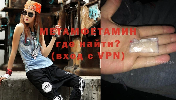 шишки Заводоуковск