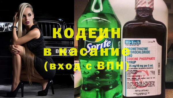 шишки Заводоуковск