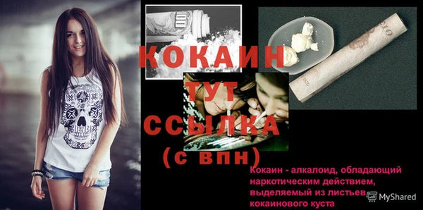 шишки Заводоуковск