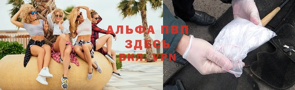 шишки Заводоуковск