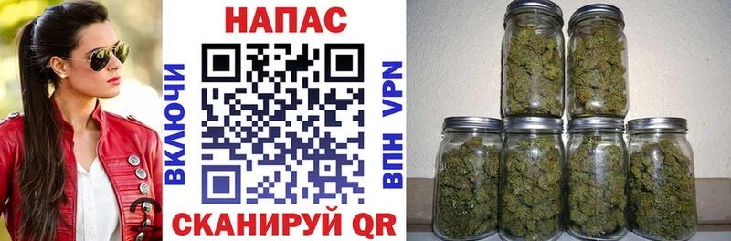 Каннабис семена  Зея 